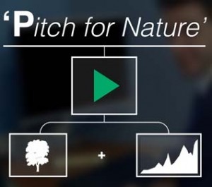 Pitch for Nature