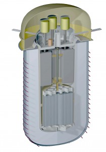 Concrete containment silo enclosing the IMSR unit