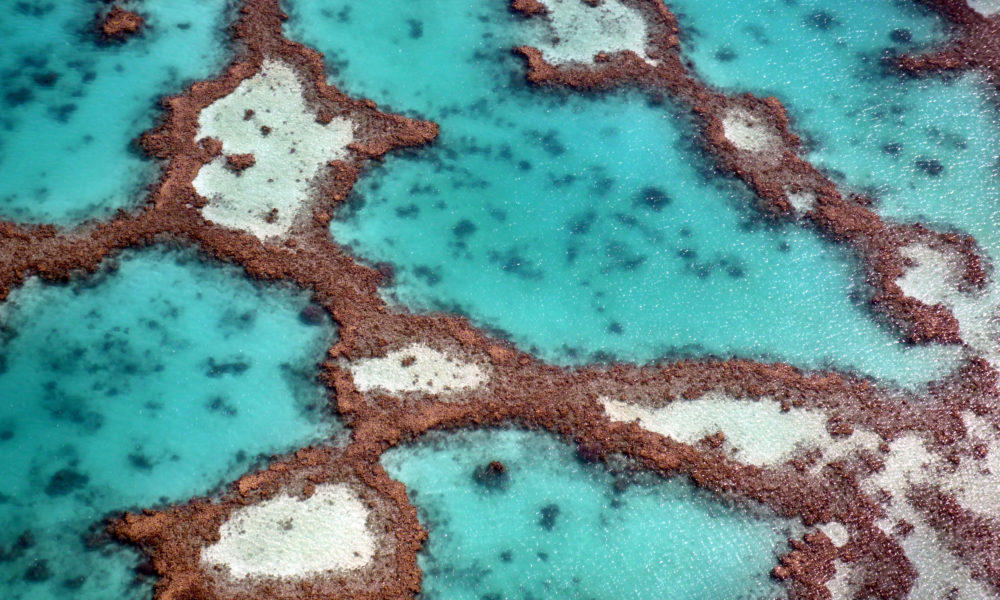 Great Barrier Reef, Australia