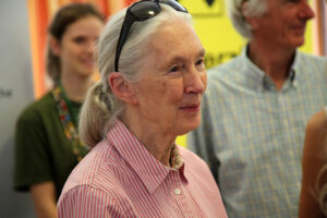 Dr Jane Goodall