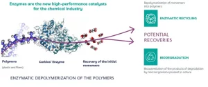 Enzymatic depolymerization of the polymers