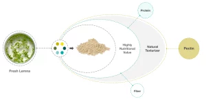 Water lentil schema Source: microTERRA