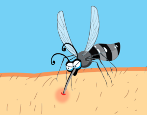 mosquito bite