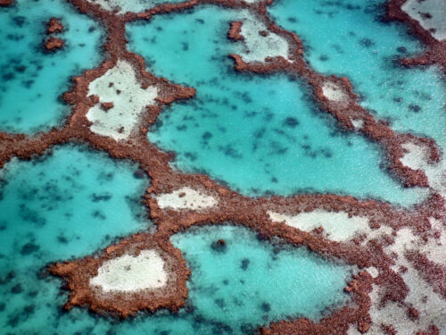 Great Barrier Reef, Australia ©dcarsprungli