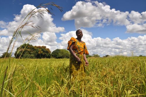 Sustainable food for all Source: Oxfam East Africa, licensed with CC BY 2.0