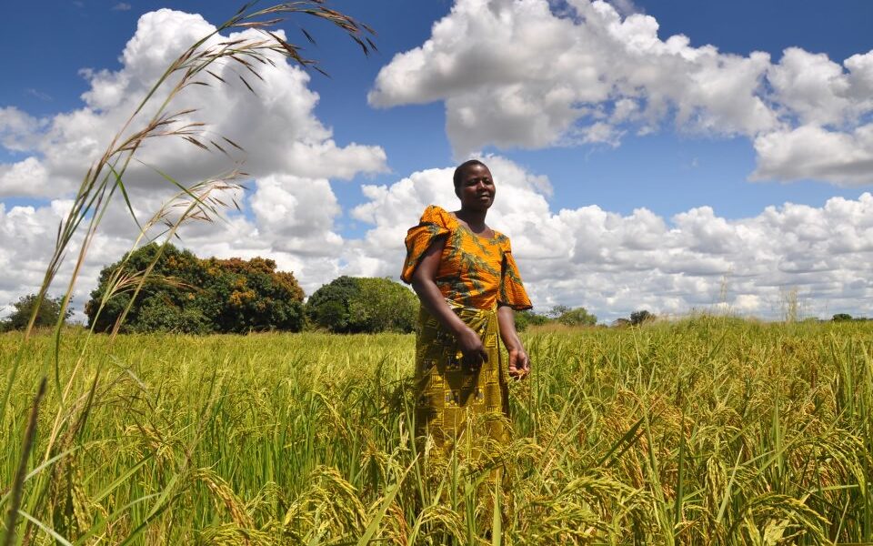 Sustainable food for all Source: Oxfam East Africa, licensed with CC BY 2.0