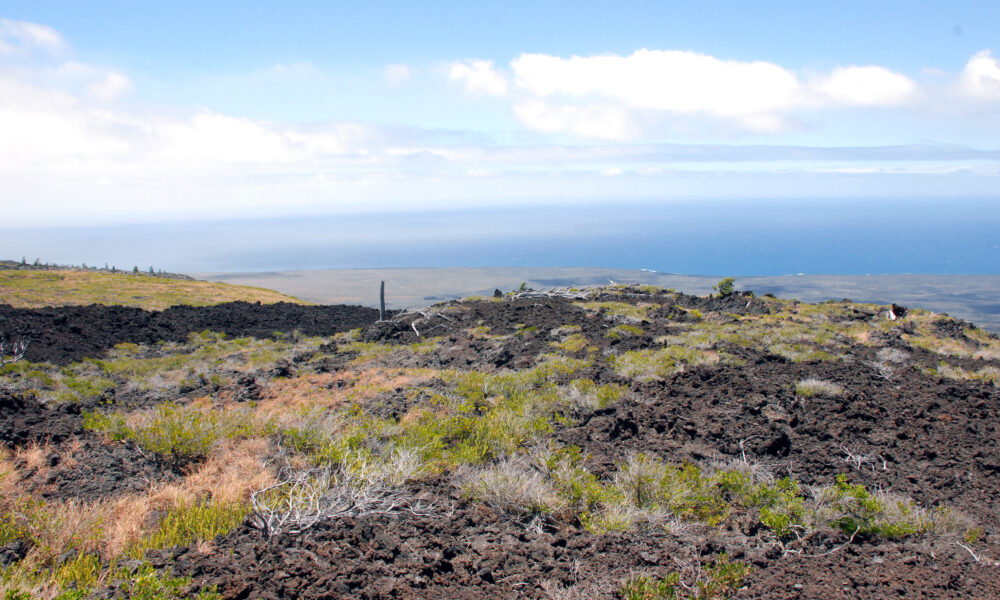 Hawai’i Volcanoes National Park, USA ©dcarsprungli